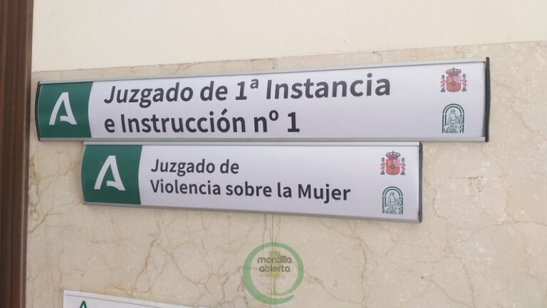 juzgado violencia mujer (1)