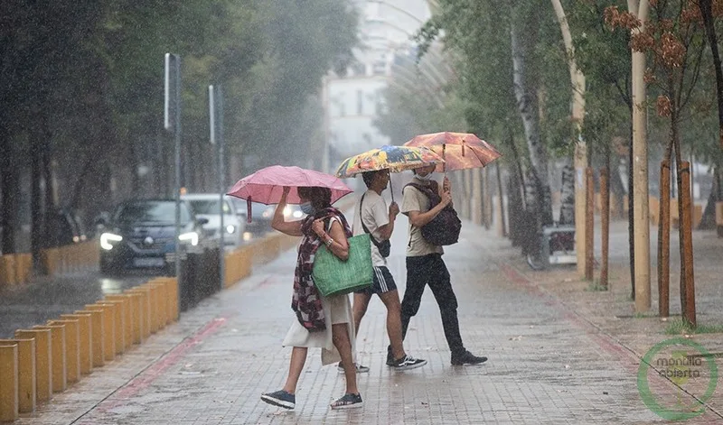 lluvia paraguas 20240817