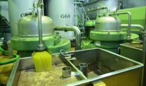 Las salidas de aceite de oliva alcanzan las cifras más altas de los últimos 10 años