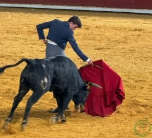 Fernando Lovera seleccionado para las semifinales del XXXI Ciclo de Novilladas de Escuelas Taurinas de Andalucía
