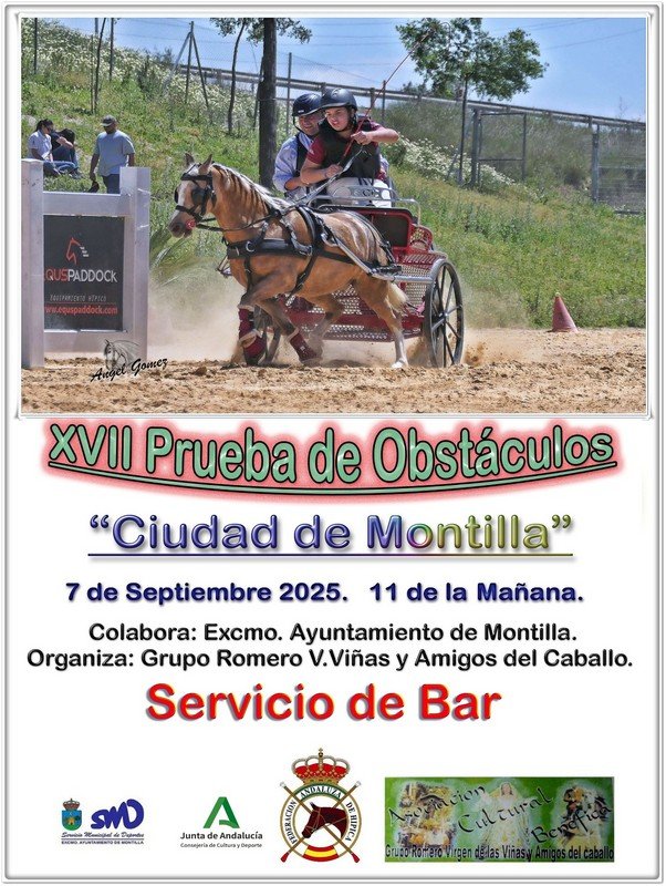 XVII Prueba de obstáculos Ciudad de Montilla