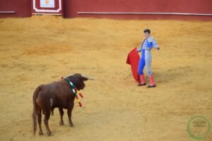 El Montillano
