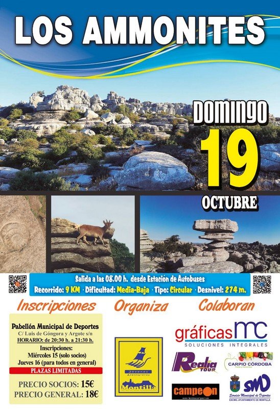 Ruta de los Ammonites