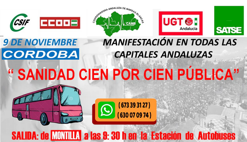 Manifestación "Sanidad 100x100 publica" en Córdoba