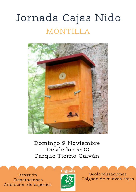 Jornada de cajas nido